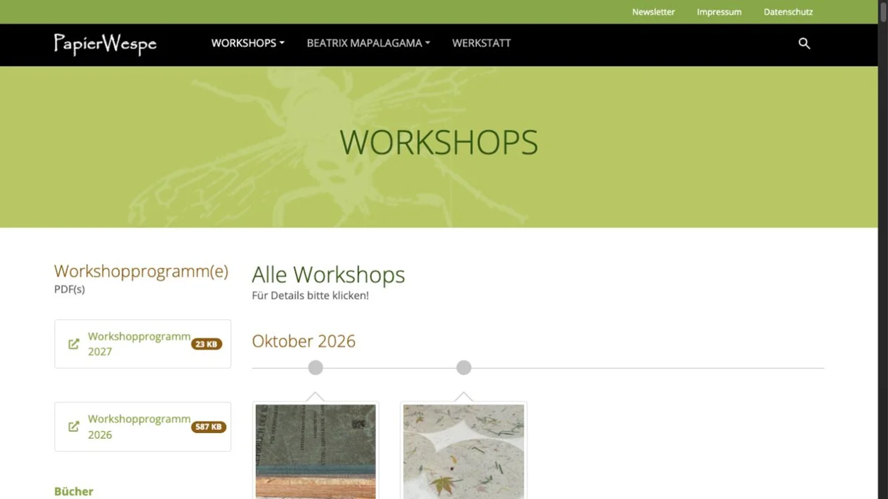 Screenshot der Website von Papierwespe